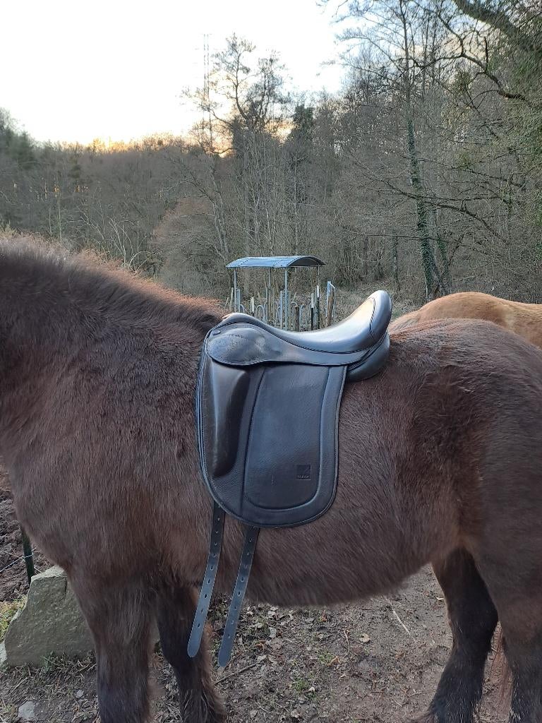 Selle islandais Eques Black, Dieren en Toebehoren, Paarden en Pony's | Zadels, Gebruikt, Overige soorten, Ophalen