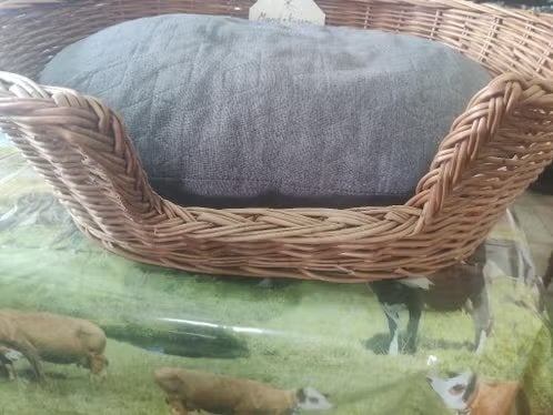 Hondenmand ca. 68cmx53cm mét kussen AniOne, Dieren en Toebehoren, Ophalen, Gebruikt, Riet