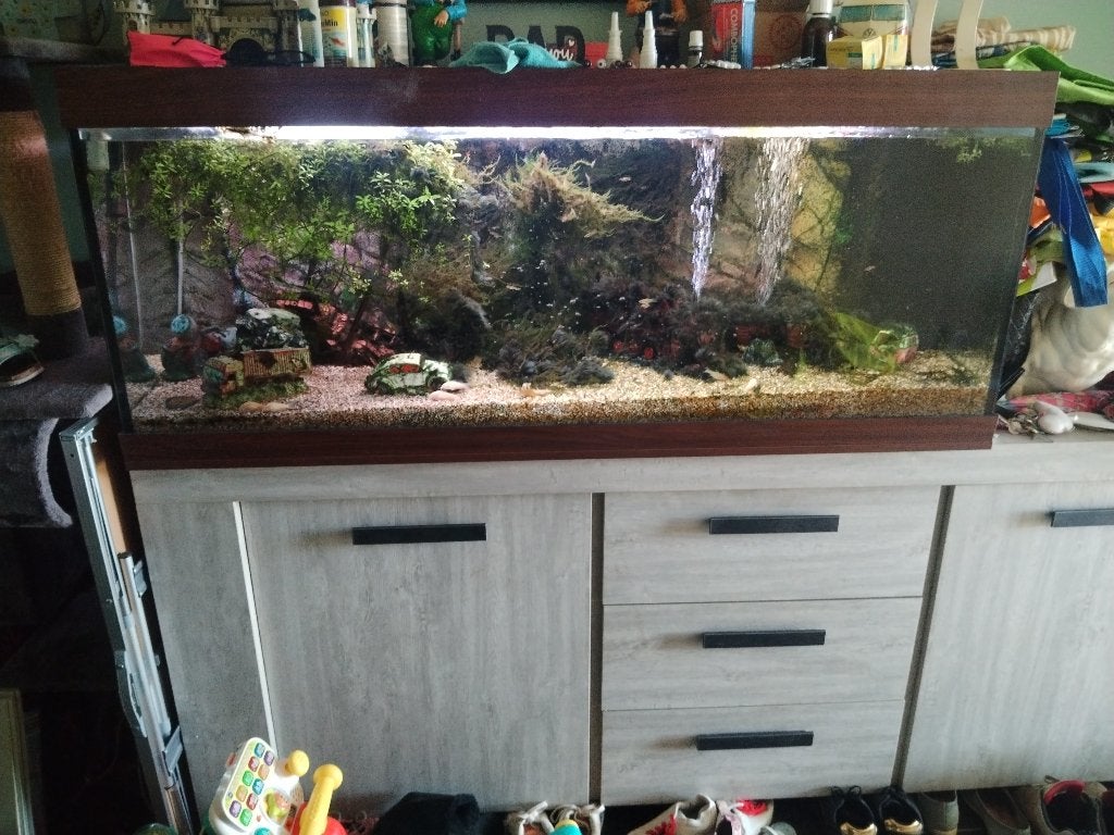 Aquarium juwel 450, Ophalen, Pomp, Gebruikt, Juwel