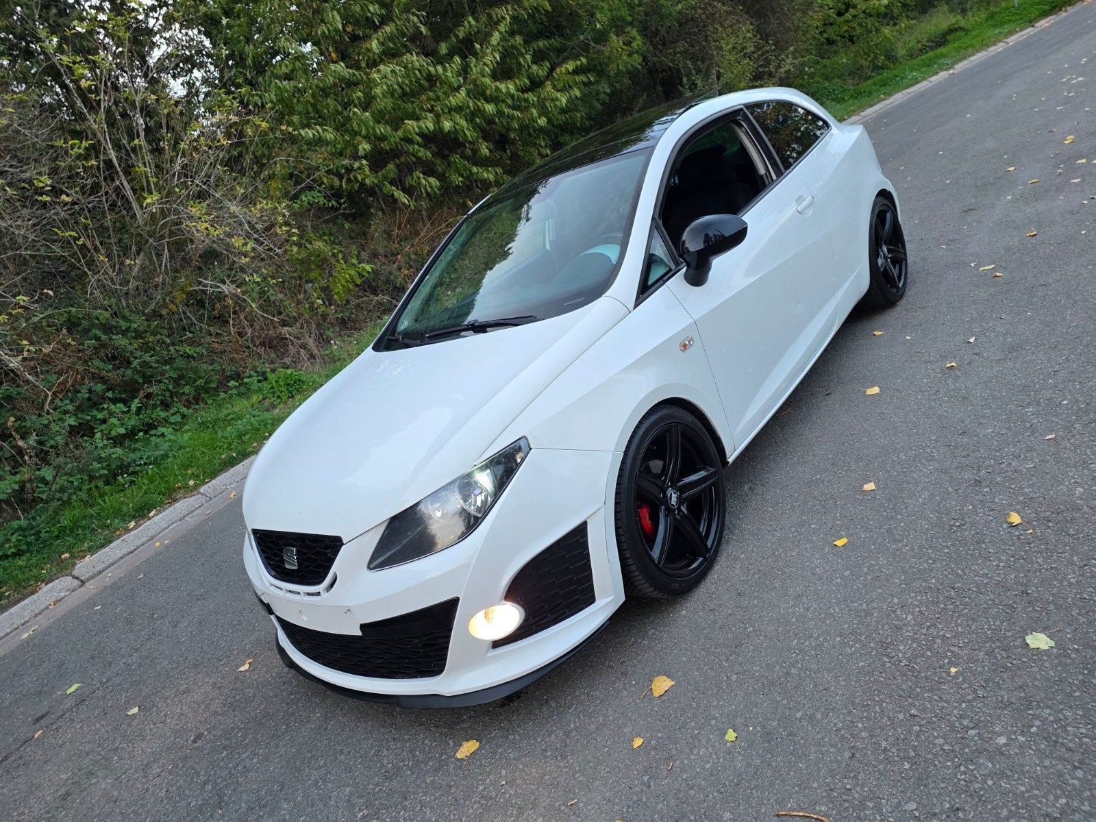 Seat Ibiza 1.4Tdi#Pack Fr#Toit-Pano#Clim digital#Jantes, Euro 5, Achat, Entreprise, Tissu