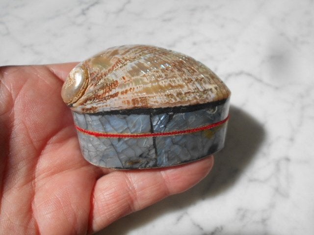 abalone, prachtig doosje ! paua, Natuurlijk materiaal, Handgemaakt, Doos, Indonesië