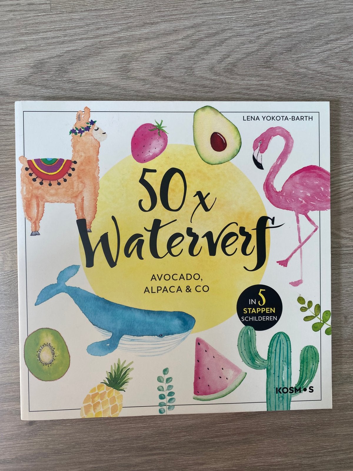Schilderen in stappen 50x waterverf, Neuf, Enlèvement ou Envoi, Convient aux enfants, Lena Yokota-Barth