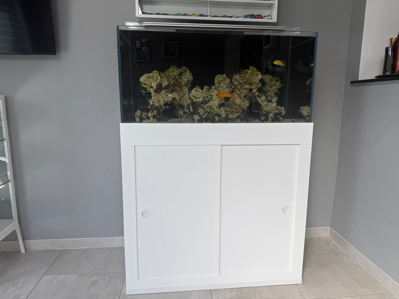 Aquarium, Enlèvement ou Envoi, Comme neuf