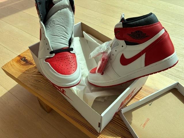 Nike Air Jordan sneakers - size 10, Overige typen, Nieuw, Ophalen of Verzenden, Overige maten