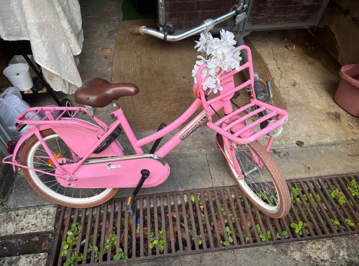 Velo fille Popal 20 pouces, Vélos & Vélomoteurs, Vélos | Filles, Frein à rétropédalage, Utilisé, Frein à main, 20 pouces