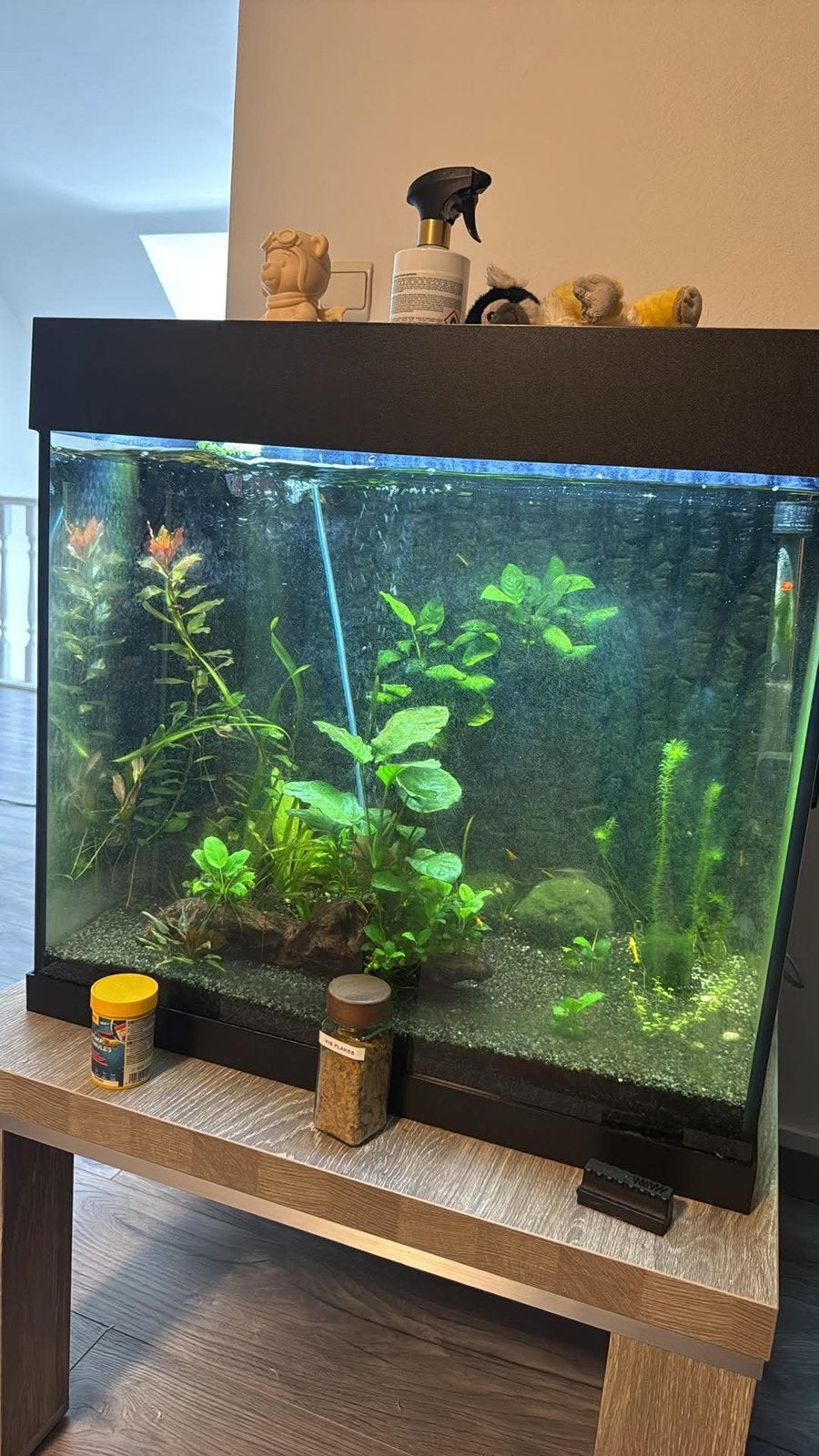 Aquarium juwel lido 120, Dieren en Toebehoren, Ophalen, Vissenkom, Zo goed als nieuw, Inclusief deksel