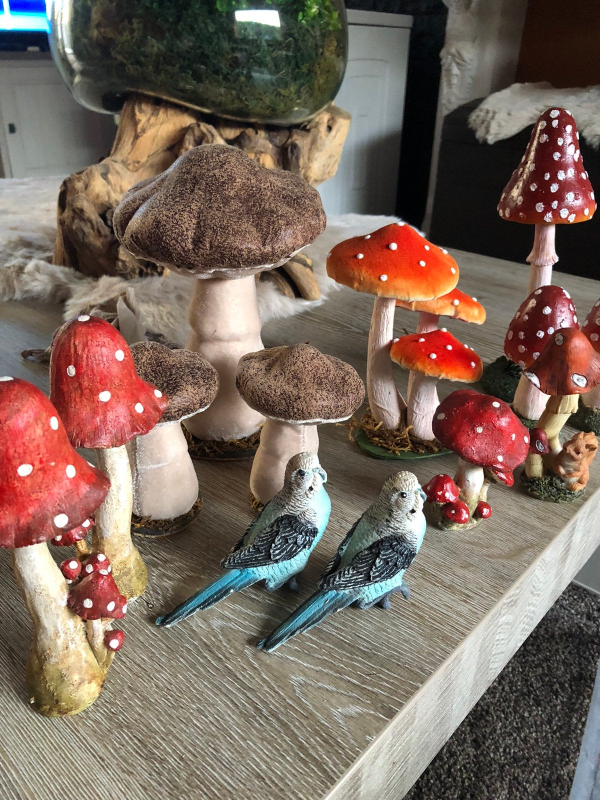 Paddenstoelen samen 15€, Ophalen of Verzenden, Zo goed als nieuw
