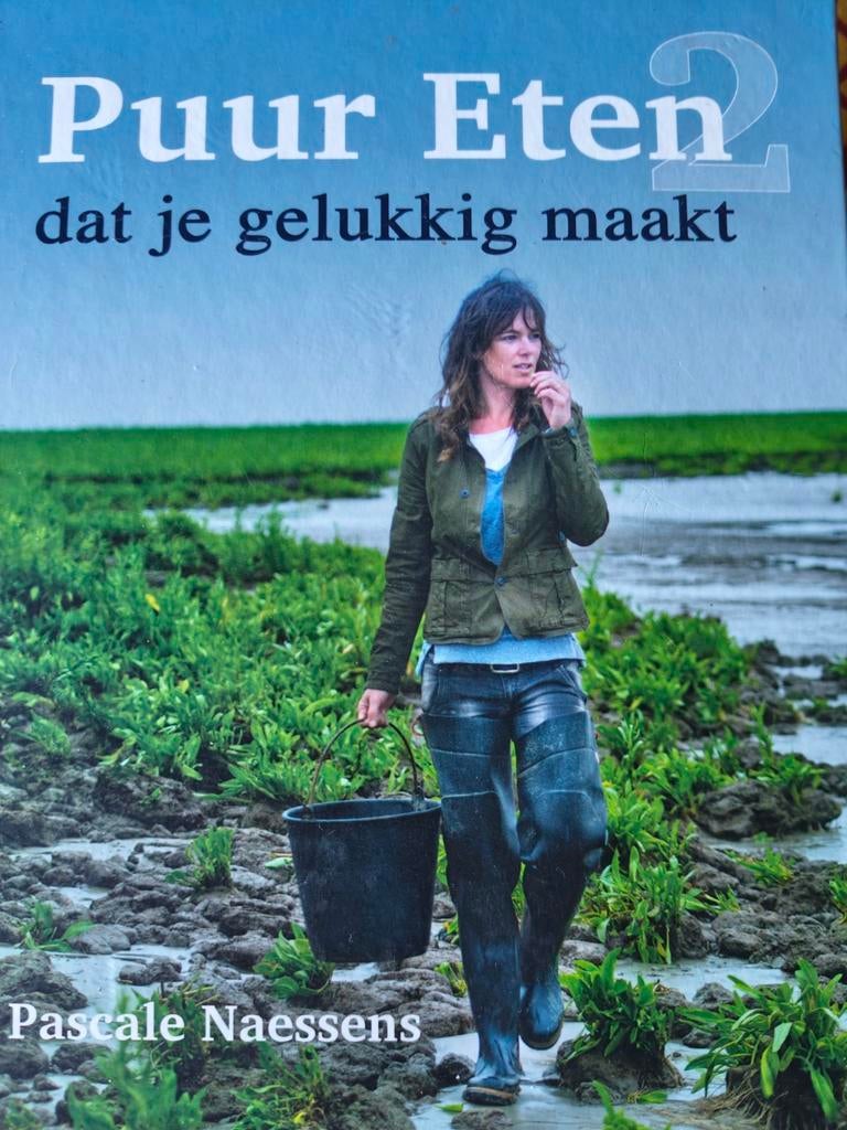 Pascale Naessens - Puur Eten 2, Boeken, Kookboeken, Ophalen