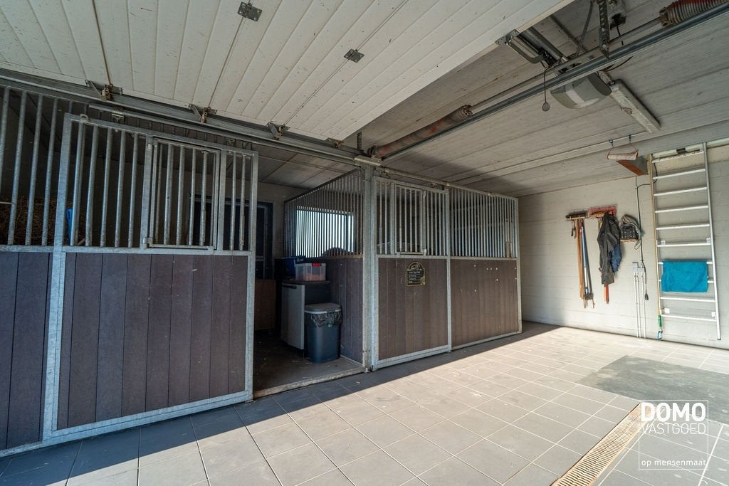 Paardenboxen, Mise à l'étable, 2 ou 3 chevaux ou poneys