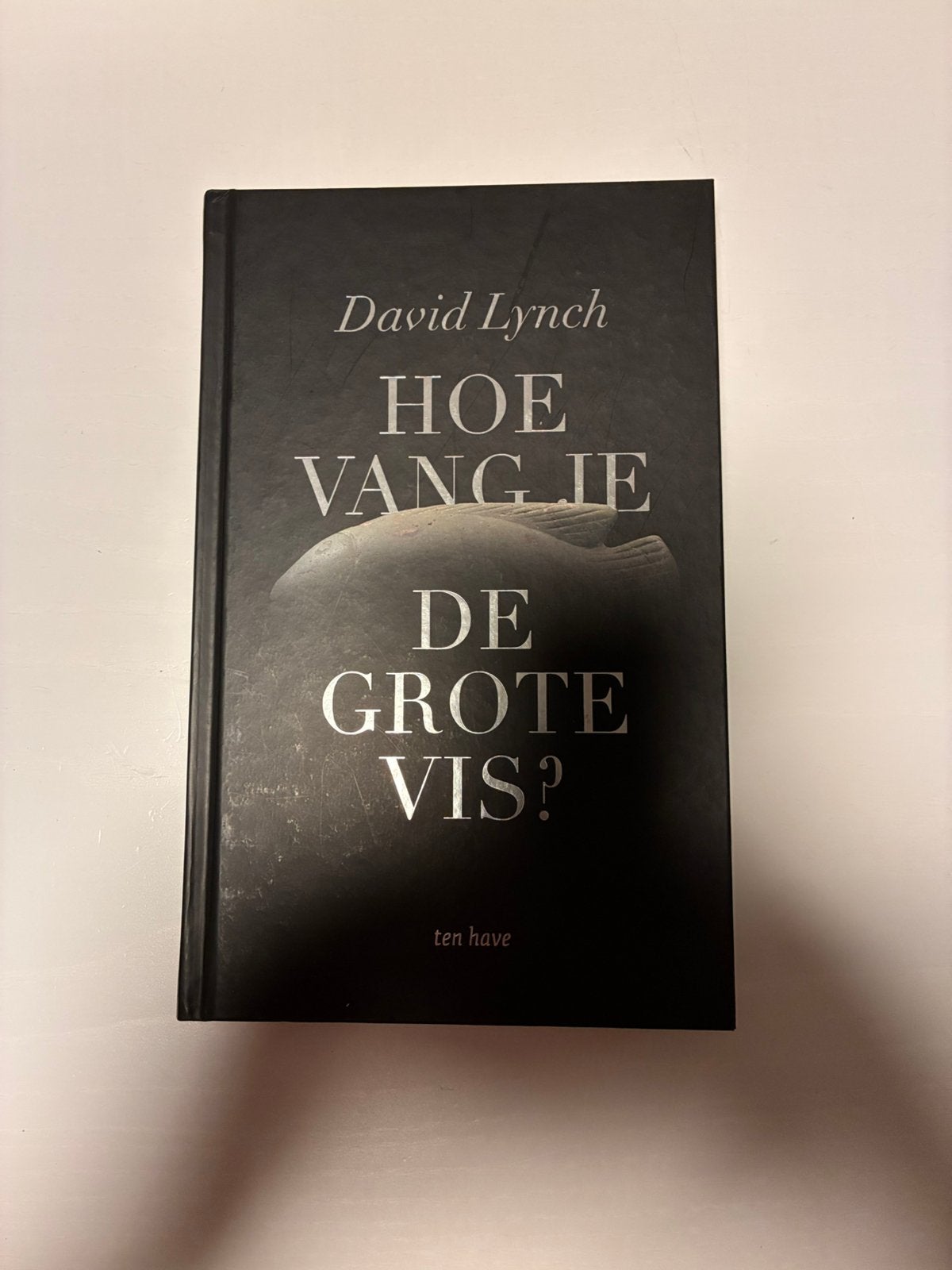 David Lynch - Hoe vang je de grote vis?, Ophalen of Verzenden, David Lynch