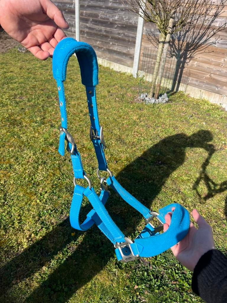 Blauwe waldhausen halster, Ophalen of Verzenden, Zo goed als nieuw