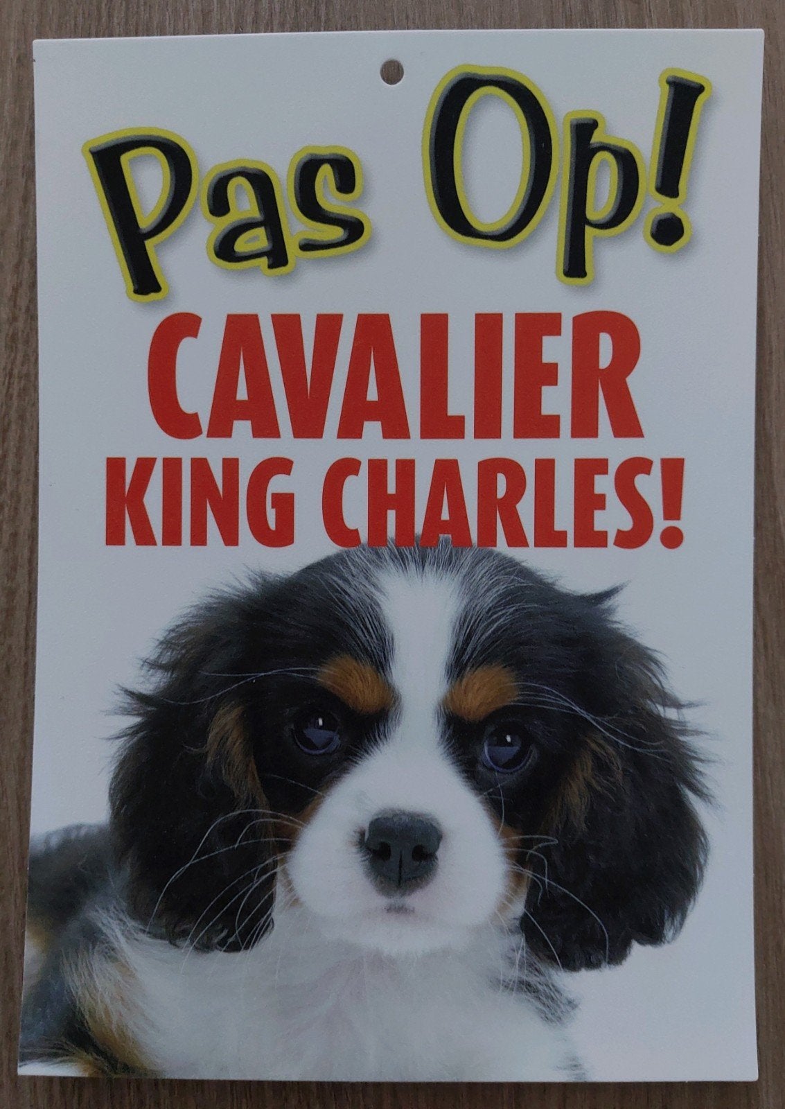 BORDJE HONDEN - PAS OP! CAVALIER KC, Ophalen of Verzenden