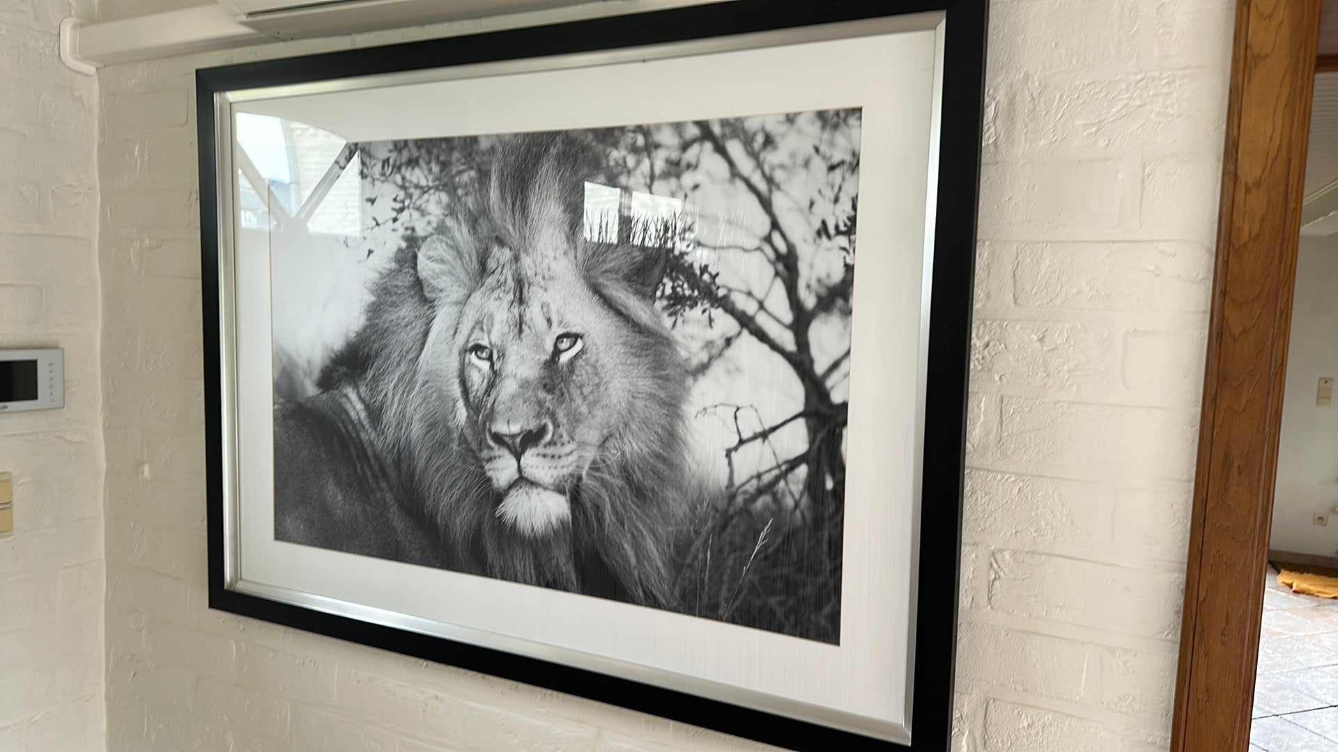 Prachtige kader met foto leeuw, Antiek en Kunst, Ophalen, Foto
