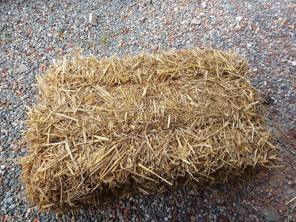 Kleine balen stro.voordroog kleine balen, Dieren en Toebehoren