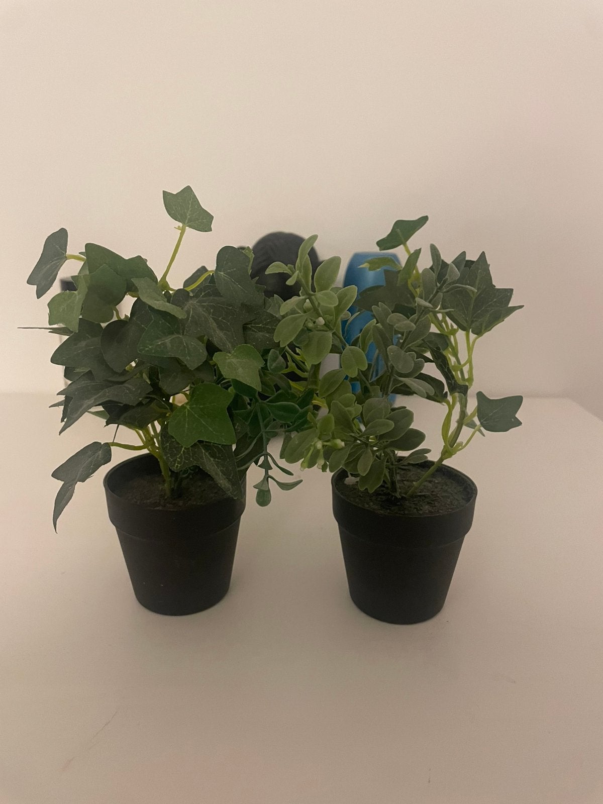 Decoratieve planten, Verzenden, Zo goed als nieuw