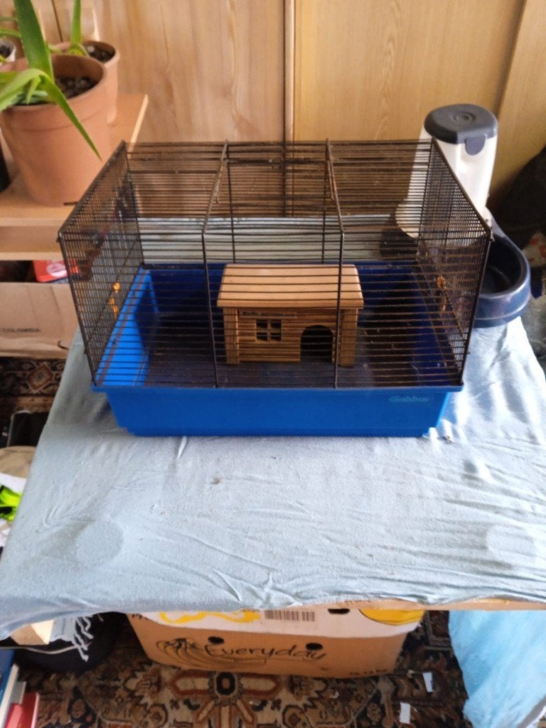 Kooi, Ophalen, Gebruikt, Kooi, Hamster