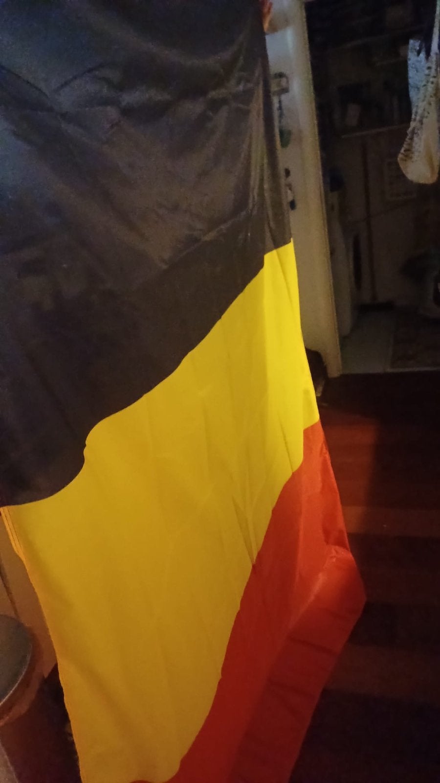 Drapeau Belgique, Envoi, Neuf
