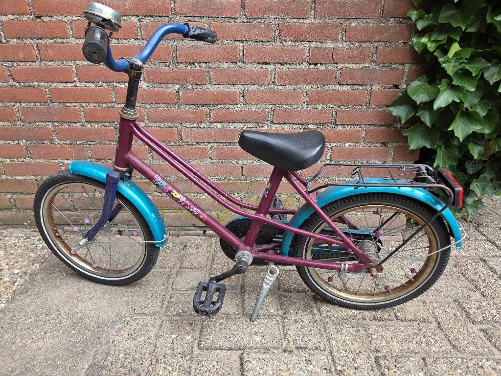 Kinderfietsjes 16 en 20 inch, Ophalen, Terugtraprem, Alpina Meisjesfiets, 16 tot 20 inch