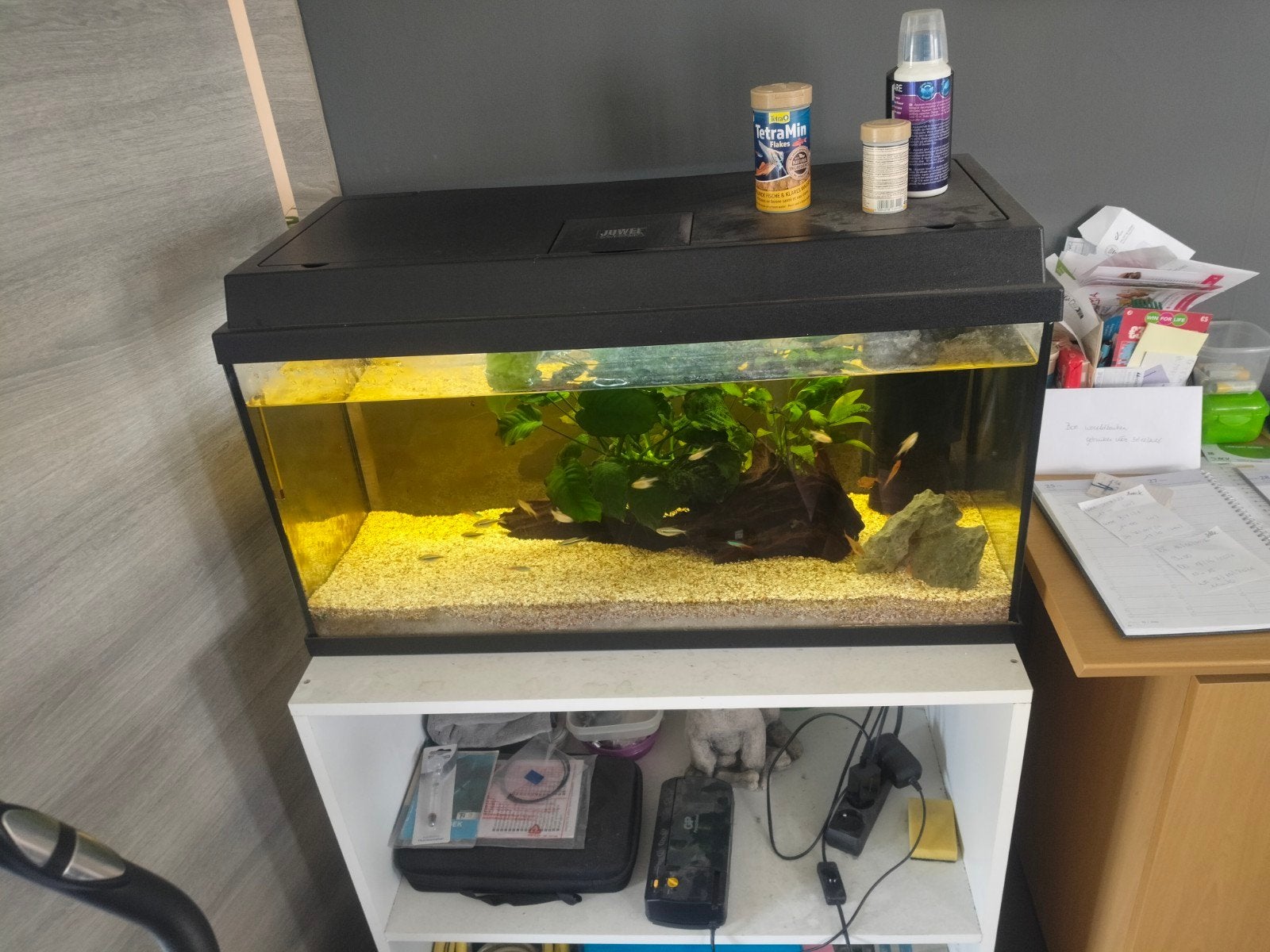 Gratis aquarium met vissen, Enlèvement