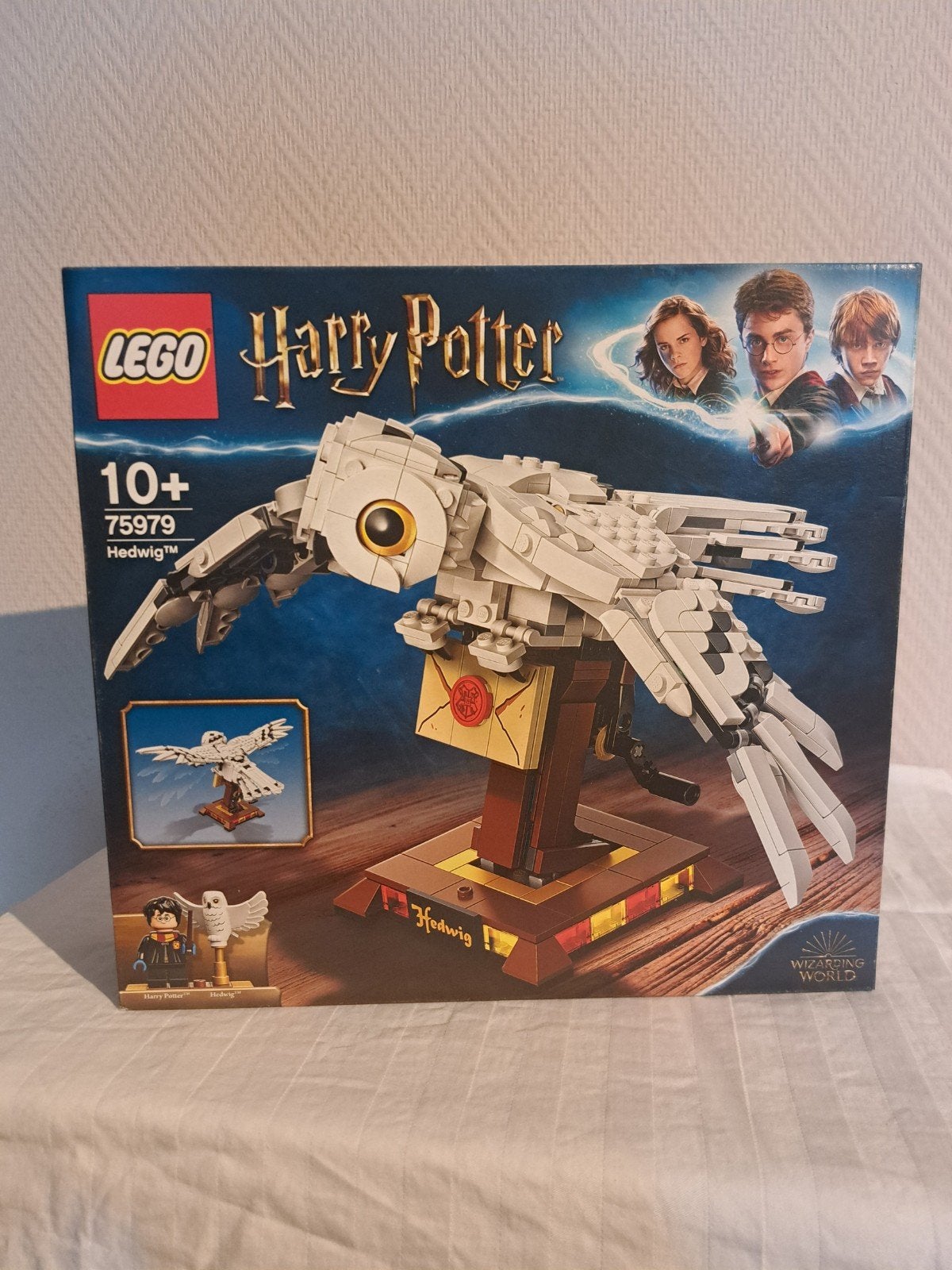 Hedwig 75979, Enlèvement