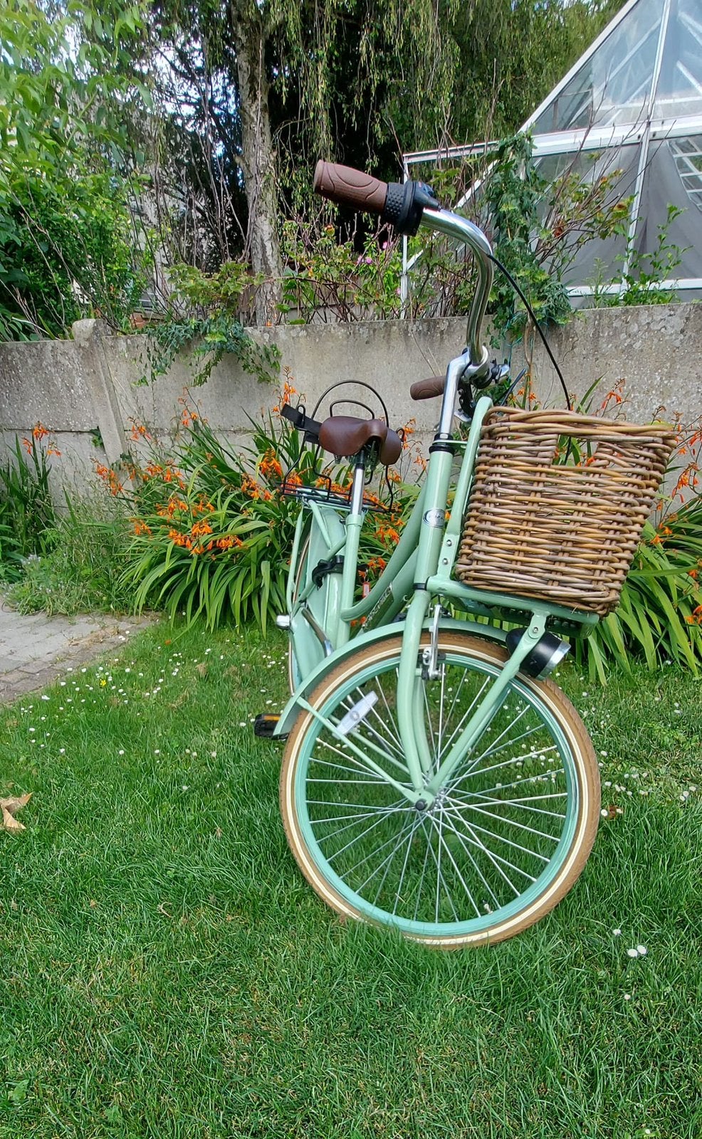 Popal DailyDutch 24 inch omafiets pistache + fietsmand, Fietsen en Brommers, Ophalen, Terugtraprem, Versnellingen, Zo goed als nieuw