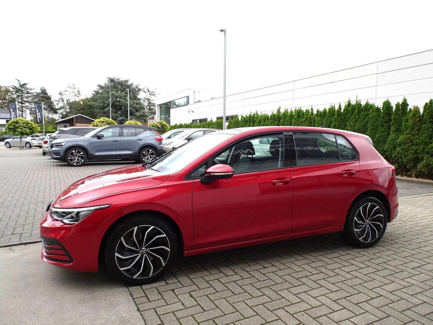 Volkswagen Golf VIII 1.5TSi Life VIRTUAL,CAMERA,CARPLAY,ADAP, Autos, Rouge, Achat, https://public.car-pass.be/vhr/4b544449-fe96-4511-b153-632b6d870f61