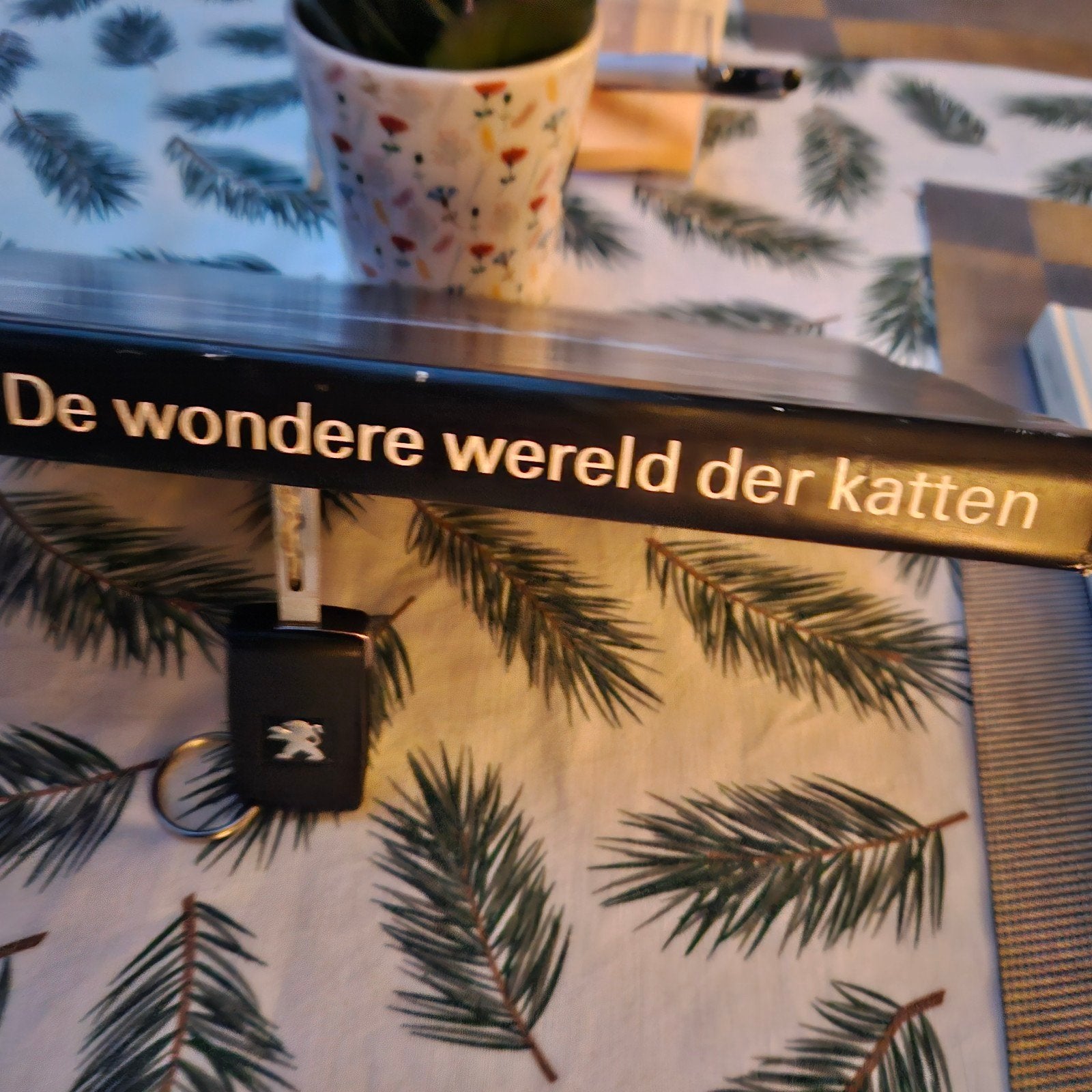 de wondere wereld der Katten, Boeken, Ophalen of Verzenden, Katten
