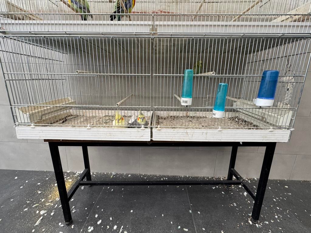 Kooi van vogels, Dieren en Toebehoren, Ophalen, Gebruikt, Vogelkooi