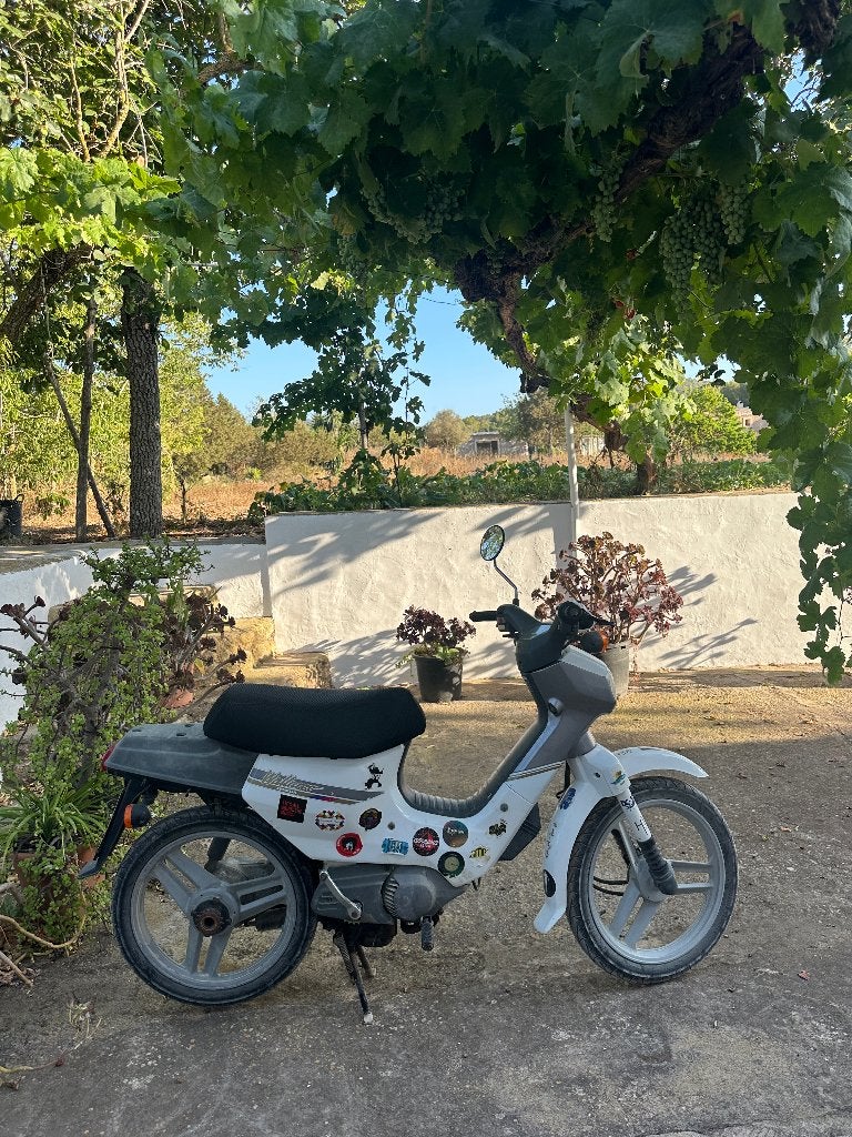 Honda walleroo, Fietsen en Brommers, Ophalen, Gebruikt, Overige modellen, 49 cc