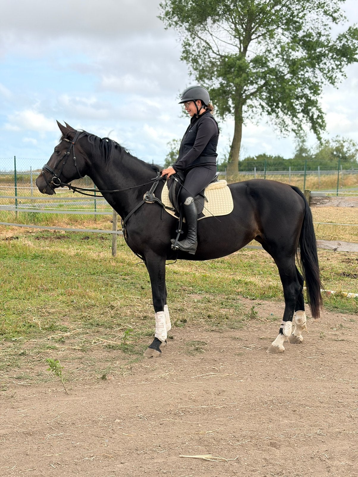 Lieve 6 jarige rijbare BWP merrie, Avec pedigree, 165 à 170 cm, L, Cheval de saut