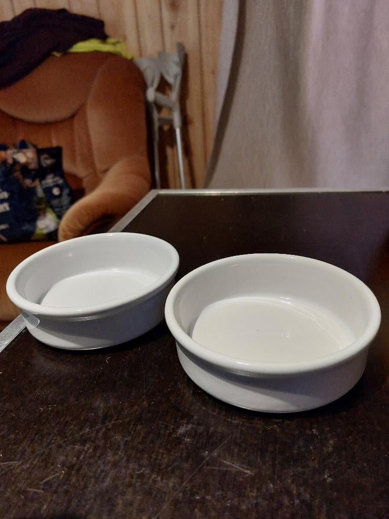 DEUX RAVIERS EN TERRE, Neuf, Enlèvement ou Envoi, Poterie rustique, Poterie