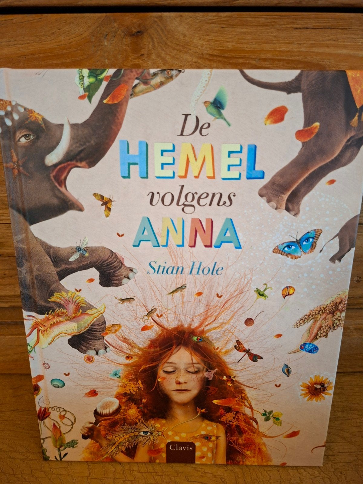 Stian Hole - De hemel volgens Anna, Ophalen, Zo goed als nieuw, Stian Hole