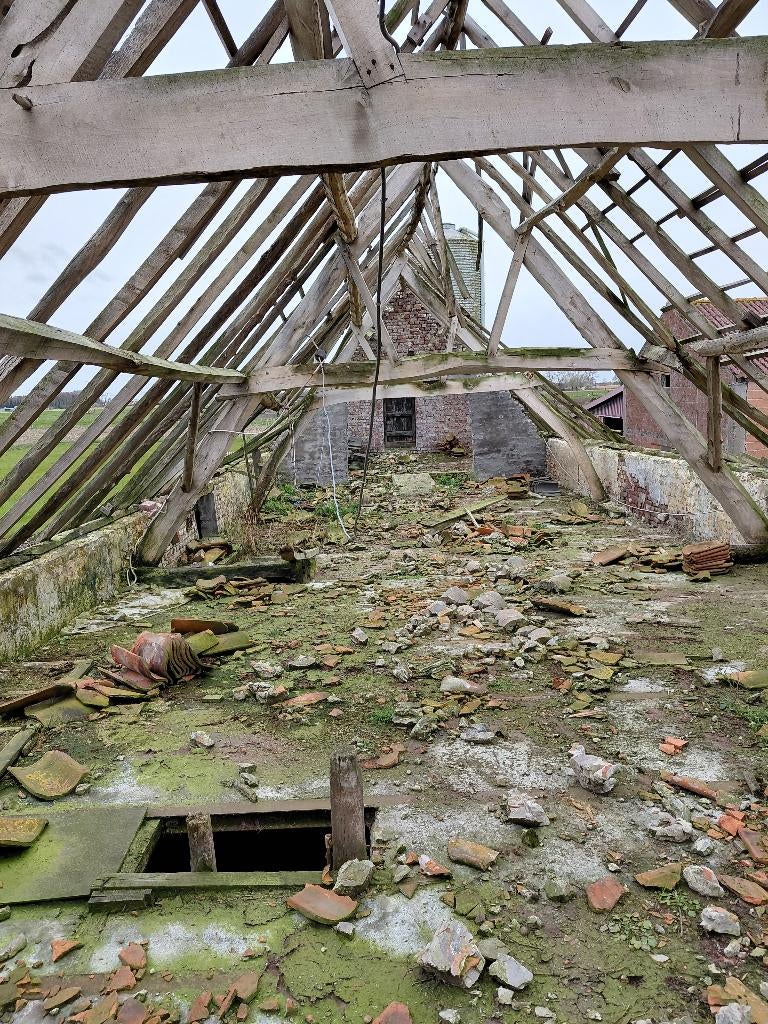 Gratis brandhout, Tuin en Terras, Ophalen