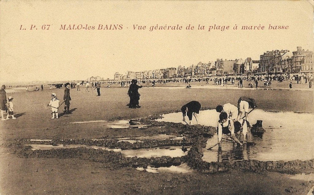 1929 - FRANKRIJK - Malo-les-Bains: Vue générale de la Plage, Verzenden, 1920 tot 1940, Gelopen, Frankrijk