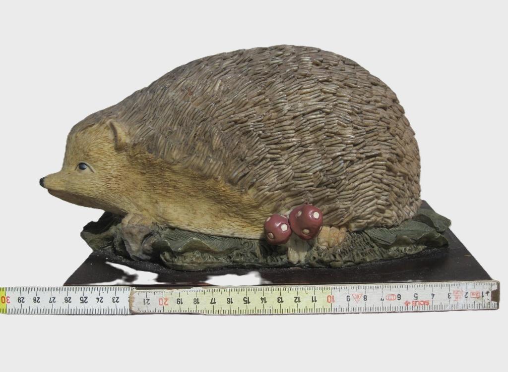 Houten berenkop - bord sculptuur - egel zwarte woud, Ophalen, Hout, Beeld
