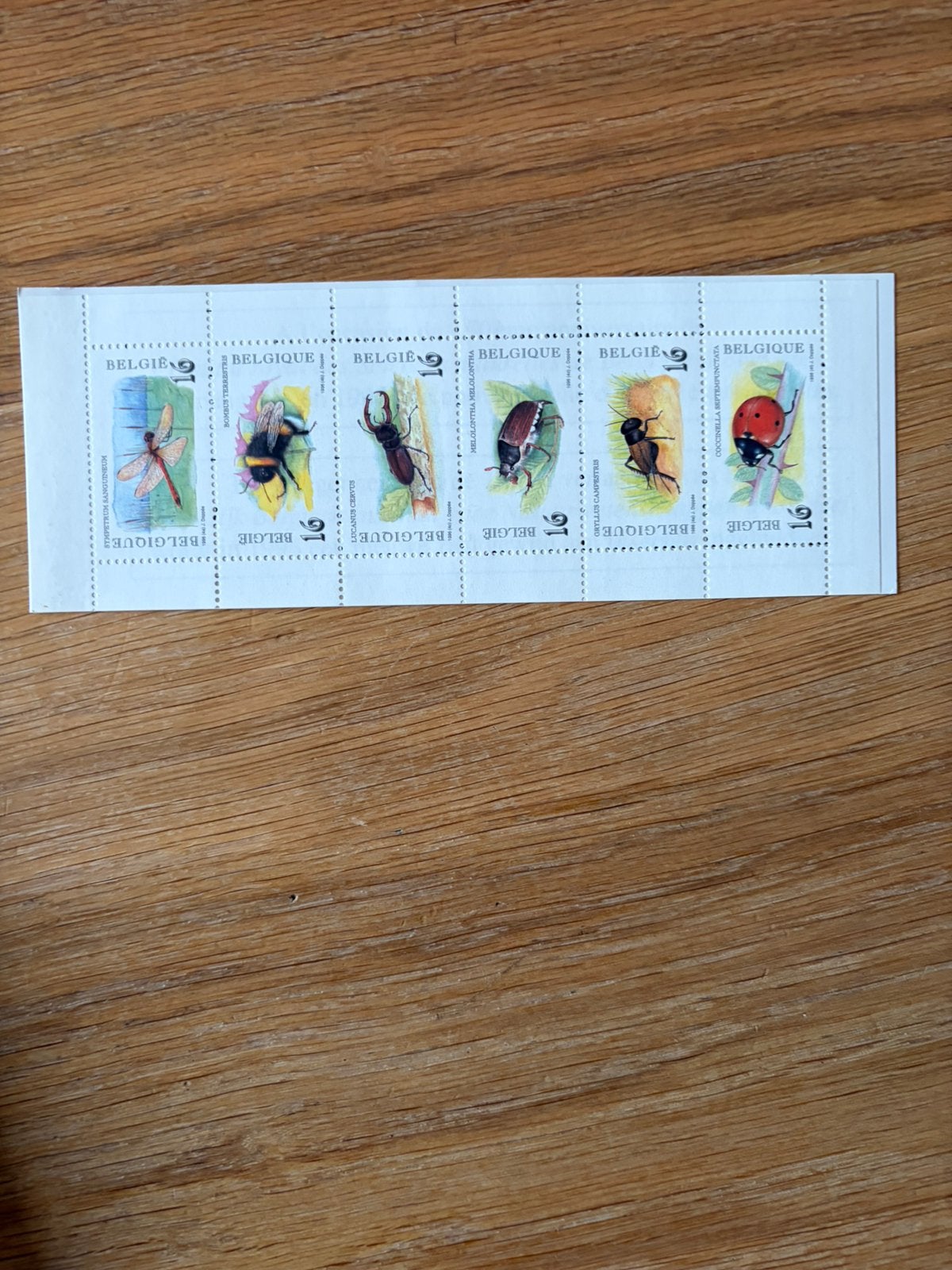 Insecten 1996 Obp 2630-2635 in boekje, Timbres & Monnaies, Timbres | Antilles néerlandaises, Enlèvement ou Envoi