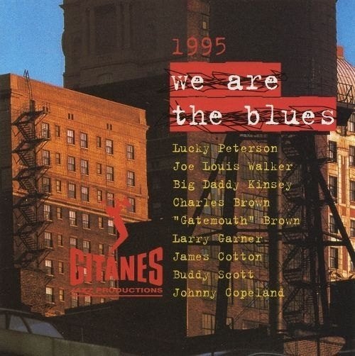 SALE--CD VARIOUS - We Are The Blues 1995, Verzenden, Blues