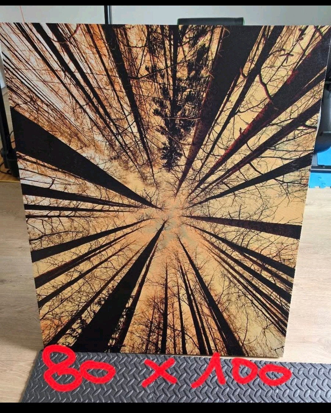 Canvas Schilderijen, Ophalen