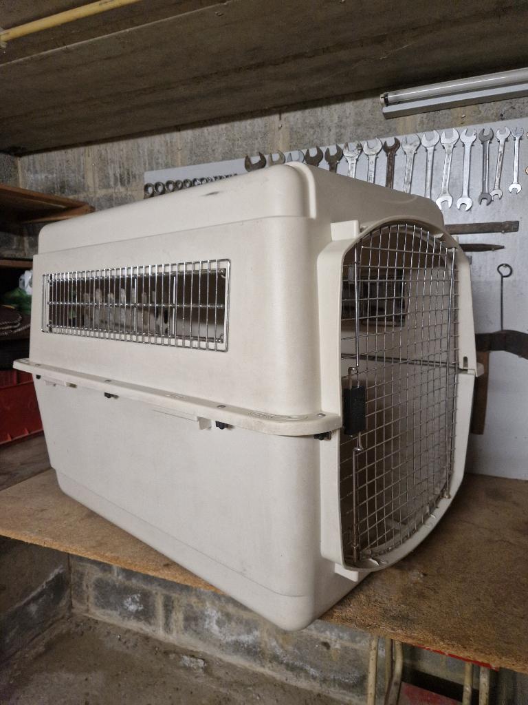 Cage transport animal, Animaux & Accessoires, Enlèvement, Utilisé