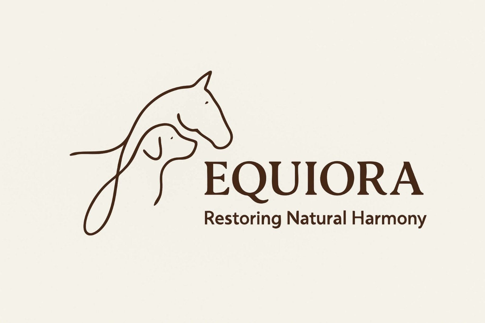 Massage therapeut voor jouw paard!, Dieren en Toebehoren, Paarden en Pony's | Overige Paardenspullen, Ophalen