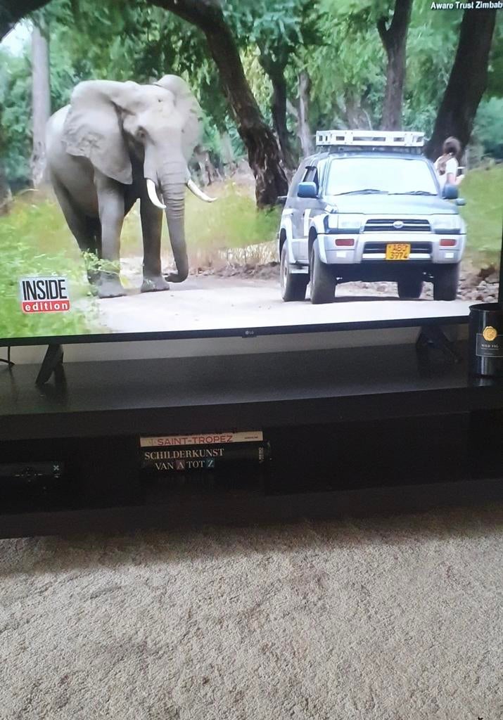 Tv meubel, Dieren en Toebehoren