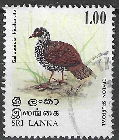 Sri Lanka 1979 - Yvert 529 - Poulet à la perdrix (ST), Envoi, Affranchi