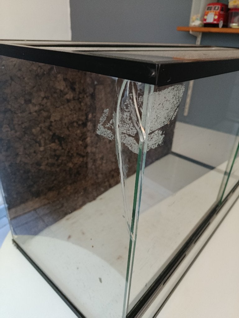 Terrarium, Ophalen, Gebruikt, Terrarium of Paludarium