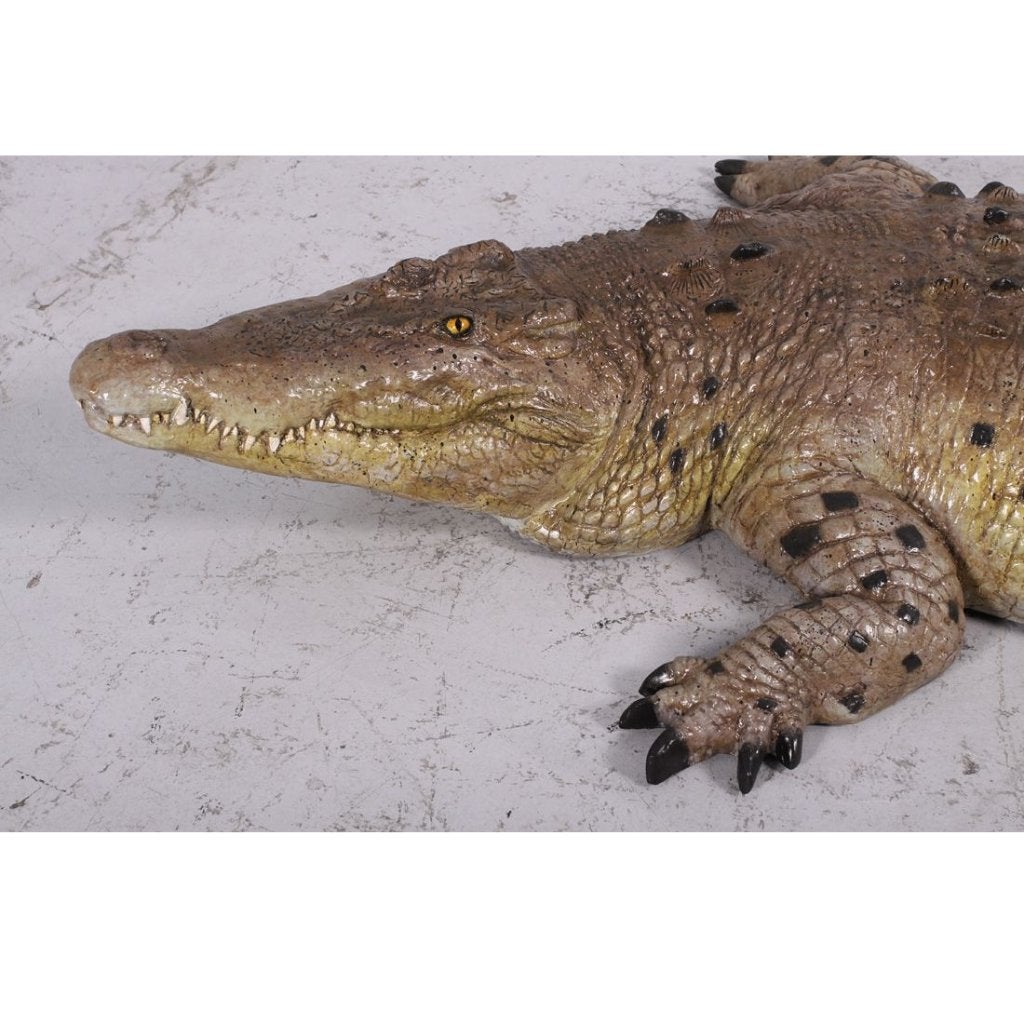 Krokodil met gesloten bek, krokodil 3,43 meter, Ophalen, Nieuw