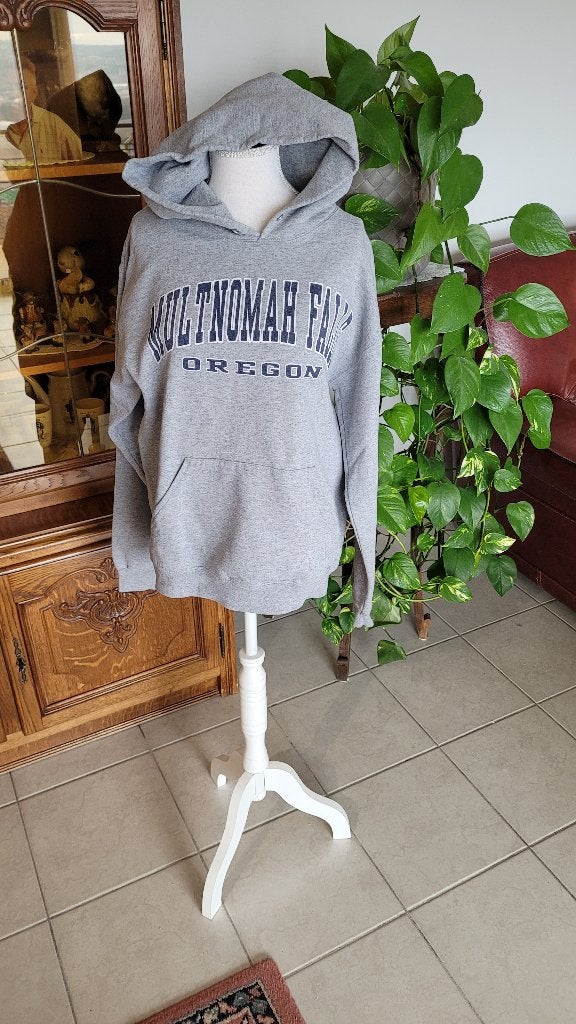 sweat à capuche dame taille M, Vêtements | Femmes, Enlèvement ou Envoi, Porté, Taille 38/40 (M), Gris