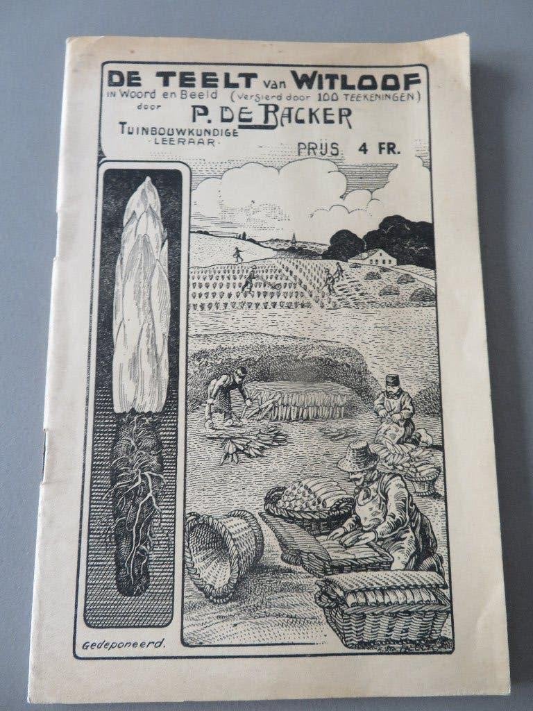 1942 De teelt van Witloof 100 tekeningen P. De Backer, Ophalen of Verzenden, Zo goed als nieuw, Tuinieren en Tuinplanten
