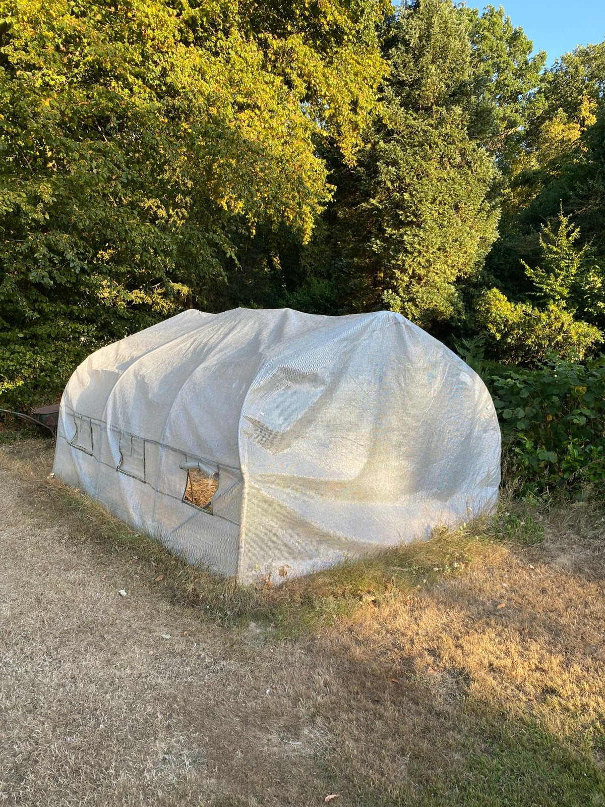 Serre jardin plastique 330x290, Tuin en Terras, Kassen, Ophalen, Gebruikt, Plastic, Kweekkas
