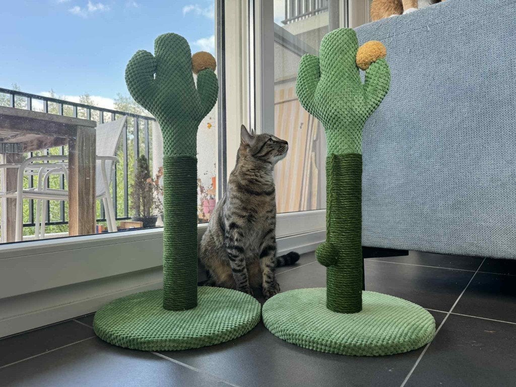 krabpaal voor kat, Cactus shape, Enlèvement ou Envoi, Neuf, Griffoir