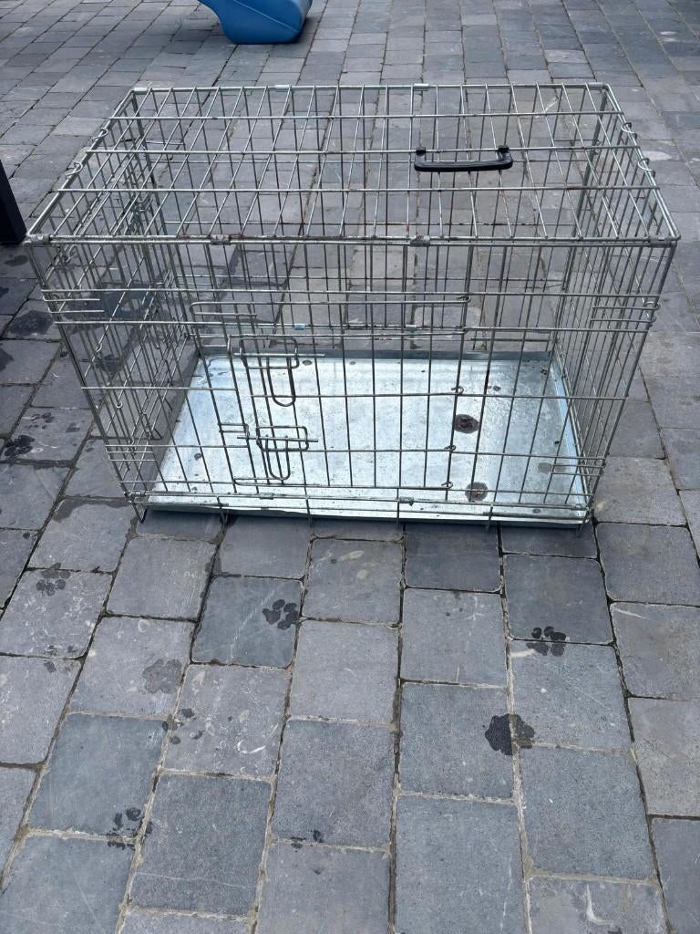 Hondenkennel, Animaux & Accessoires, Maisons pour chiens, 75 à 110 cm, Enlèvement, Utilisé, Moins de 65 cm
