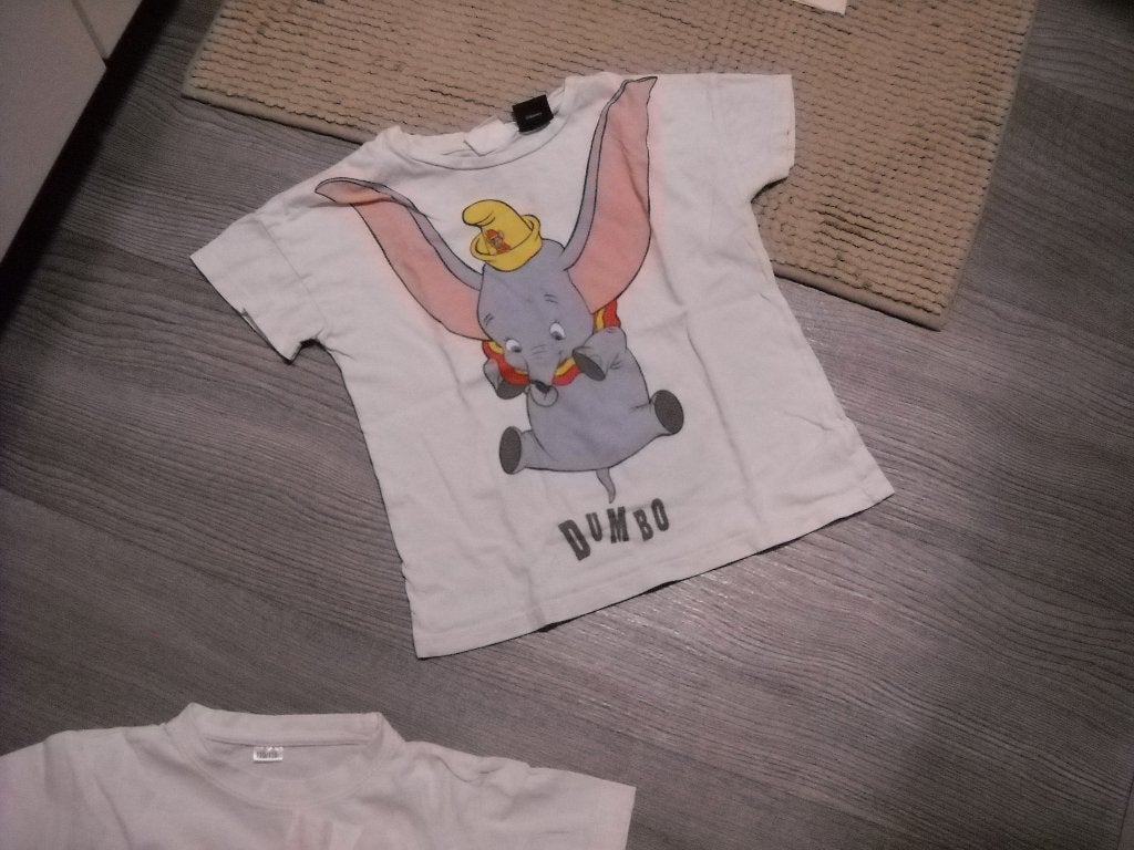 t shirt zara-dombo-116-1euro, Kinderen en Baby's, Kinderkleding | Maat 116, Ophalen, Gebruikt, Jongen of Meisje